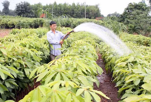 Chủ động phòng cháy chữa cháy rừng ảnh 1