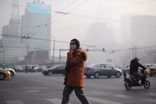 Xuất khẩu ô nhiễm để nhận... ô nhiễm ảnh 1