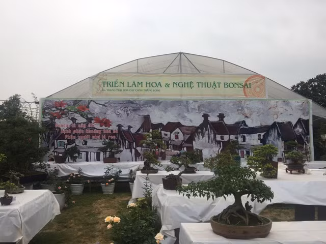 Hơn 300 loài hoa hồng khoe sắc tại trang trại hoa cảnh ngoại thành Hà Nội ảnh 17