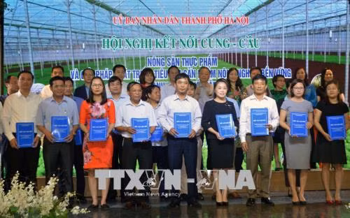 Hà Nội kết nối '6 nhà' giúp nông sản sạch đến người tiêu dùng ảnh 1