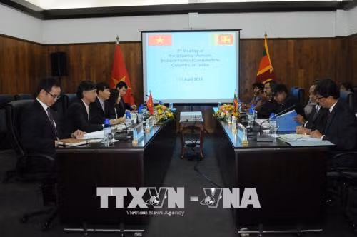 Thứ trưởng Đặng Đình Quý đồng chủ trì Kỳ họp tham khảo chính trị Việt Nam - Sri Lanka ảnh 2