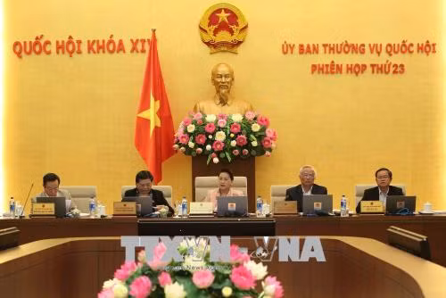 Rà soát kỹ chính sách ưu đãi tại các đơn vị hành chính – kinh tế đặc biệt ảnh 1