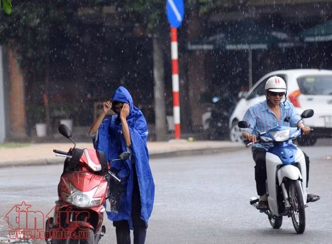 TP Hồ Chí Minh xuất hiện mưa rào, người dân không kịp trở tay ảnh 1