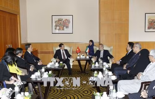 Thúc đẩy quan hệ hữu nghị, hợp tác Việt Nam-Iran ảnh 1