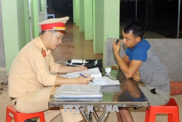 Tám tàu cá khai thác trái phép 5 tấn ốc điếu tại Quảng Ninh ảnh 1