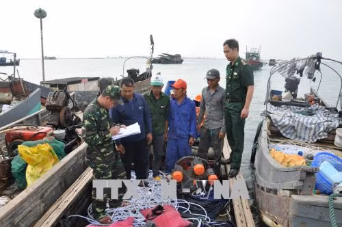 Quảng Ninh: Bắt giữ 4 bè mảng khai thác thủy sản trái phép ảnh 1