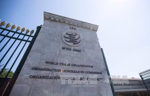 Nga khiếu nại lên WTO đòi Mỹ bồi thường việc áp thuế nhập khẩu nhôm và thép ảnh 1