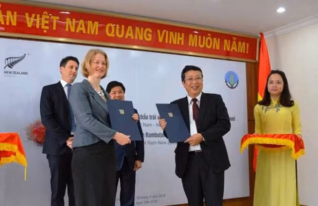 Lần đầu tiên chôm chôm Việt Nam xuất khẩu sang New Zealand ảnh 1