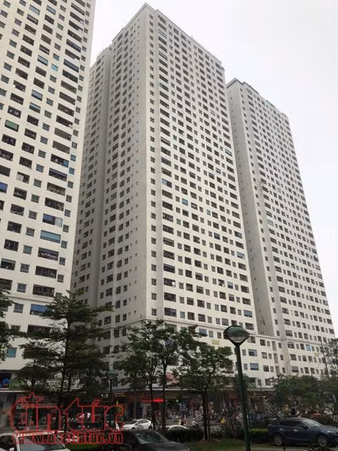 Đánh thuế nhà từ 700 triệu sẽ làm 'nhụt chí' mua nhà của nhiều người ảnh 1
