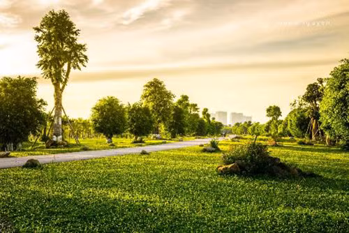 Ecopark nhận giải thưởng Khu đô thị tốt nhất ảnh 8