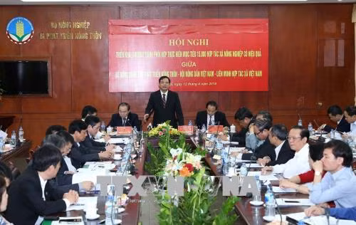 Thực hiện mục tiêu 15.000 hợp tác xã nông nghiệp hoạt động hiệu quả ảnh 1