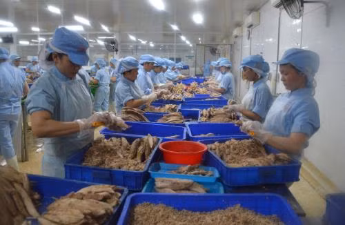 Khắc phục “thẻ vàng” IUU: Thuỷ sản Việt Nam trước giờ G ảnh 1