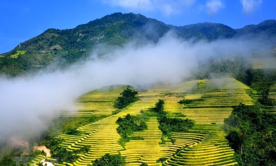 Việt Nam vào top 10 điểm đến được yêu thích nhất thế giới năm 2026