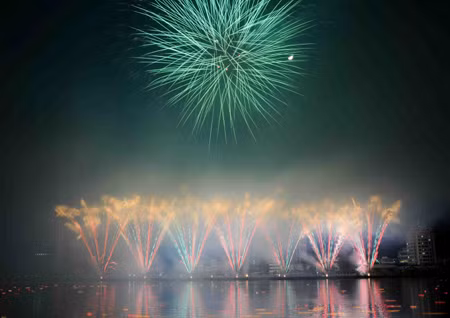 Rực rỡ sắc màu đêm trình diễn pháo hoa quốc tế Đà Nẵng 2012 ảnh 5