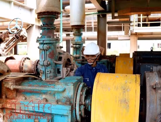 Đắk Nông chú trọng an toàn trong khai thác, chế biến khoáng sản ảnh 4