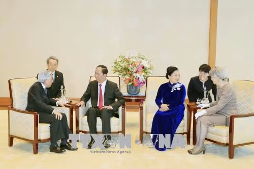 Lễ đón trọng thể Chủ tịch nước Trần Đại Quang thăm cấp Nhà nước Nhật Bản ảnh 9