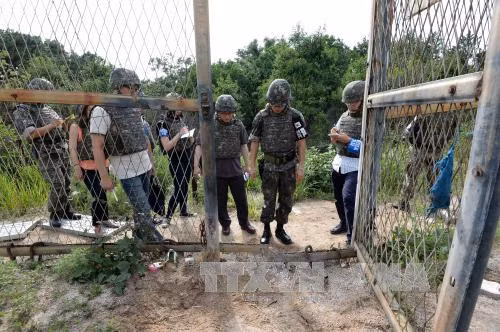 Triều Tiên phủ nhận đứng sau vụ nổ mìn ở DMZ ảnh 1