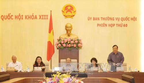 Nâng dự án Pháp lệnh quân nhân lên thành Luật ảnh 1