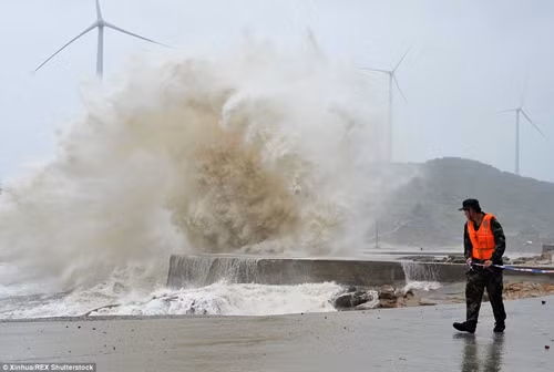 Cận cảnh bão Soudelor thổi bay nhà ảnh 3