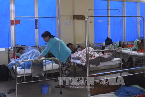 Hàng chục người nhập viện sau khi ăn bánh mì ảnh 1