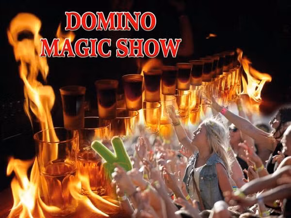 Chuỗi Domino kỷ lục tại Công viên Hồ Tây ảnh 1