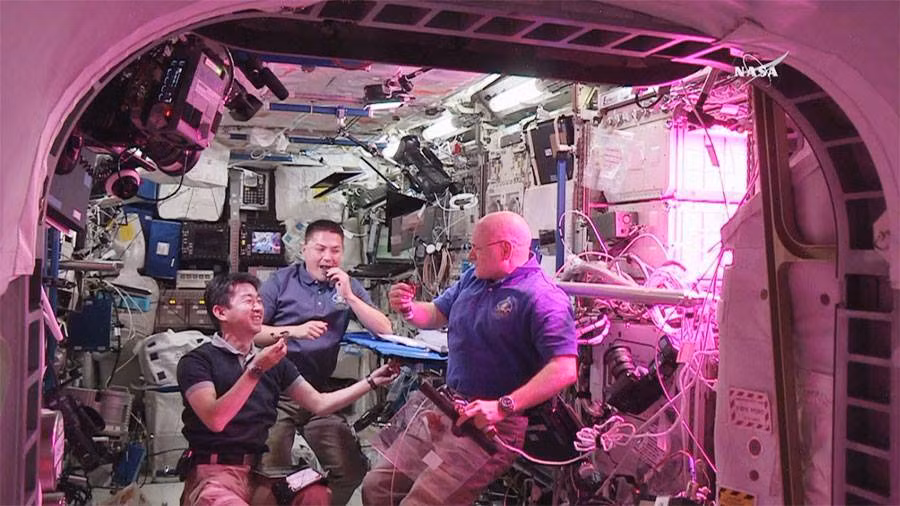 Các nhà du hành vũ trụ lần đầu nếm thử rau trồng trên ISS ảnh 1