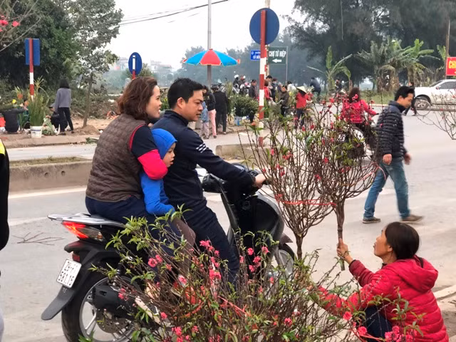 Chiều 30 Tết: Người Hà Nội thảnh thơi sắm sửa đón năm mới ảnh 6