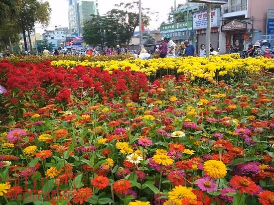 Chiều 29 Tết, người dân TP Hồ Chí Minh đổ xô đi mua hoa ảnh 1