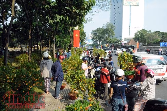 Chiều tối 30 Tết, giá hoa 'rẻ như cho', nhiều chủ hàng đập bỏ ảnh 2