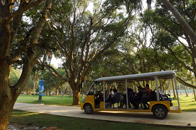 Chính thức đón khách, Sun World Hon Thom Nature Park ưu đãi khủng ảnh 4