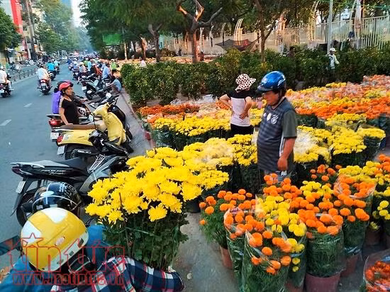 Chiều 29 Tết, người dân TP Hồ Chí Minh đổ xô đi mua hoa ảnh 2