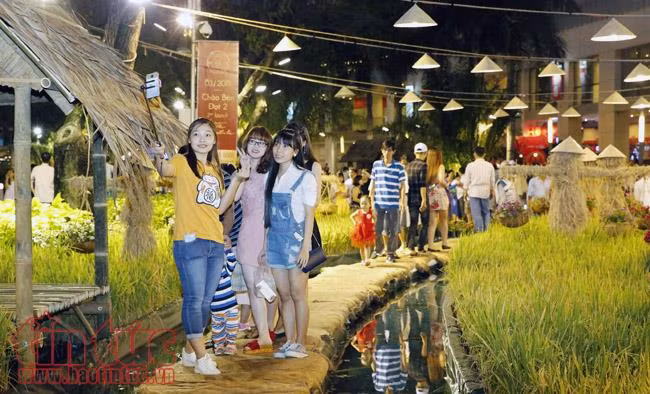 Đông đảo khách du Xuân, chụp ảnh tại các Hội hoa Xuân TP Hồ Chí Minh ảnh 2
