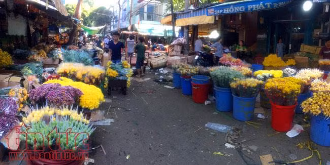 Tất bật chợ đầu mối hoa Tết những ngày cận Tết ảnh 5