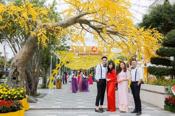 Sẽ tiếc hùi hụi nếu lỡ cơ hội xem 'Mai vàng sắc xuân' ở Sun World Danang Wonders ảnh 1