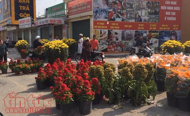 Chiều tối 30 Tết, giá hoa 'rẻ như cho', nhiều chủ hàng đập bỏ ảnh 12
