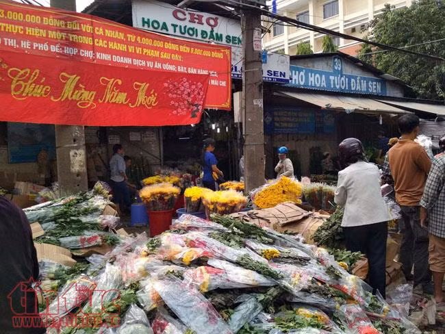 Sáng 30 Tết, hoa tươi đổ bỏ chất thành đống ở chợ hoa TP Hồ Chí Minh ảnh 10