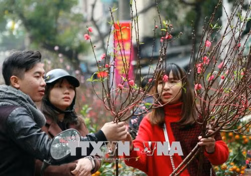 Giá cả hàng hóa ngày 30 Tết tăng nhẹ ảnh 1