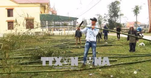 Lưu giữ Tết xưa qua tục dựng nêu ngày cuối năm ở làng biển ảnh 1