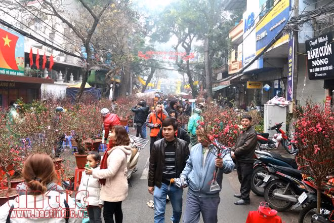 Nhộn nhịp chợ hoa Hàng Lược mỗi dịp Tết đến xuân về ảnh 1
