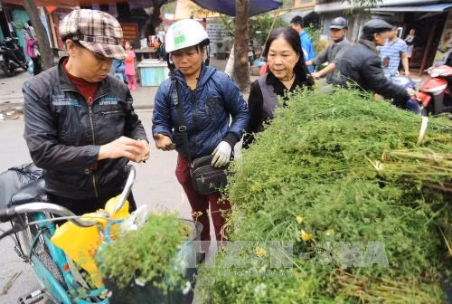 Tết Việt, nét xưa còn mãi ảnh 1