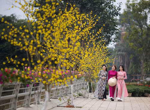 Du xuân ba miền tại Ecopark ảnh 6