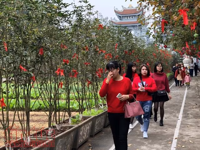 Đầu xuân, đền chùa Hà Nội đông đúc người đi lễ ảnh 2