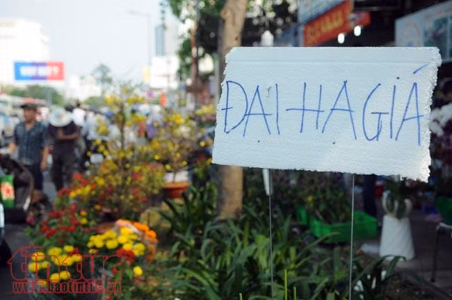 Chiều tối 30 Tết, giá hoa 'rẻ như cho', nhiều chủ hàng đập bỏ ảnh 1