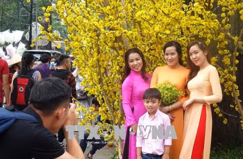 Phong phú các hoạt động vui đón Xuân Mậu Tuất 2018 ảnh 1