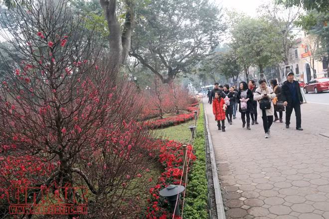 Trung tâm Hà Nội rực rỡ trước thềm Tết Nguyên đán ảnh 6