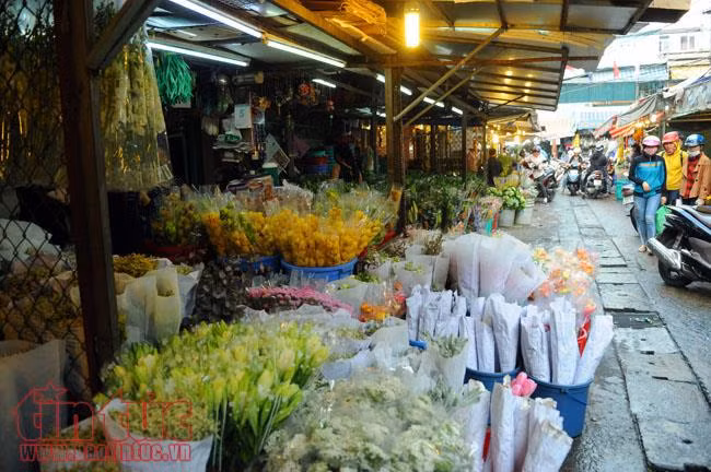 Tất bật chợ đầu mối hoa Tết những ngày cận Tết ảnh 11