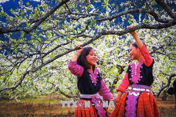 Các doanh nghiệp du lịch tung ra hàng loạt chương trình khuyến mại dịp lễ 2/9 ảnh 1