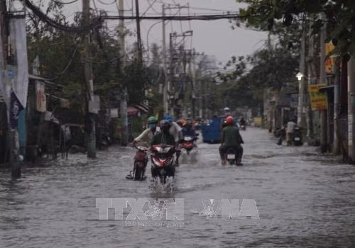 Triều cường lên cao, Thành phố Hồ Chí Minh mênh mông biển nước ảnh 1