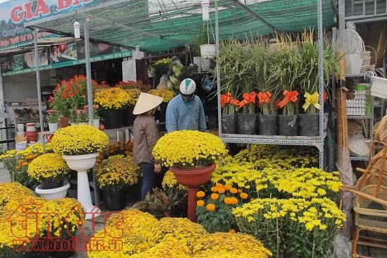 Nhiều chương trình, lễ hội mừng Tết Mậu Tuất tại TP Hồ Chí Minh ảnh 1