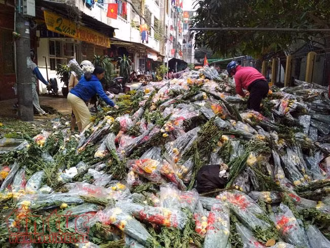 Sáng 30 Tết, hoa tươi đổ bỏ chất thành đống ở chợ hoa TP Hồ Chí Minh ảnh 3